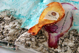 Inspiration Wednesday : 2015 (MIXED-MEDIA) - Donna Downey Studios Inc